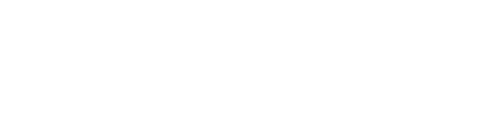 ARMOR JEANS INC